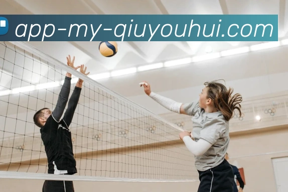 球友会app平台生态图